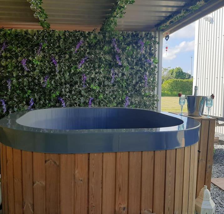 Anglesey New Modern Shepherds Hut With Hot Tub Holiday home Gwalchmai