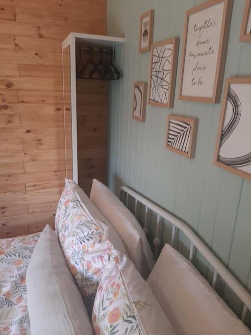 Anglesey New Modern Shepherds Hut With Hot Tub Holiday home Gwalchmai