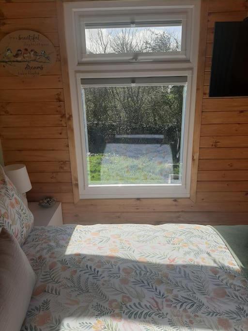 Anglesey New Modern Shepherds Hut With Hot Tub Holiday home *
